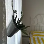 Apartment Kupine Bol