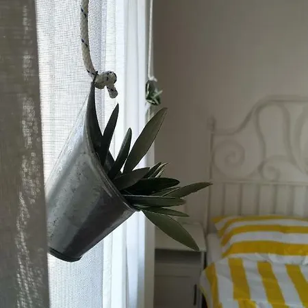 Apartament Kupine Bol